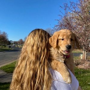 Meet your Posher, Riley